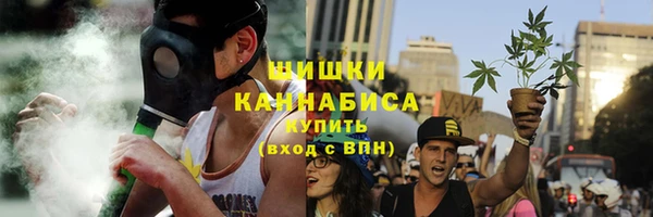 гашик Каменногорск