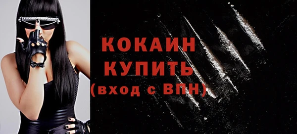 гашик Каменногорск