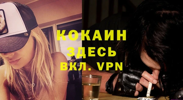 гашик Каменногорск