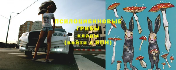гашик Каменногорск