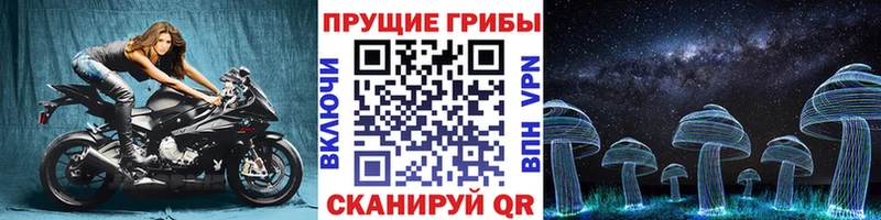 Купить где  Бийск  Галлюциногенные грибы мицелий 