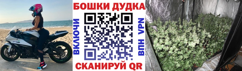 Канабис Bruce Banner  Купить закладки  Бийск 